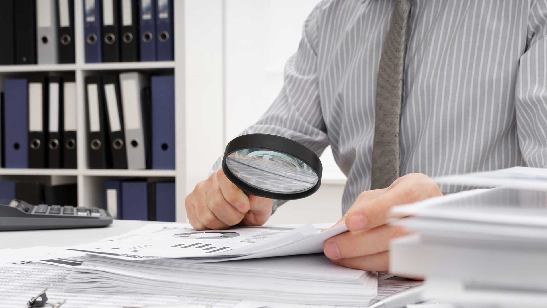 Revisione e controllo di gestione